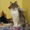 Отзыв от Эмма Воронкова
